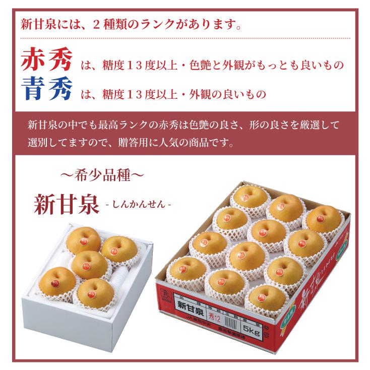 【鳥取県産　新甘泉】赤秀品　５キロ　20玉入 梨 新甘泉 しんかんせん 赤秀 7〜20玉 5kg 鳥取県産 なし ナシ