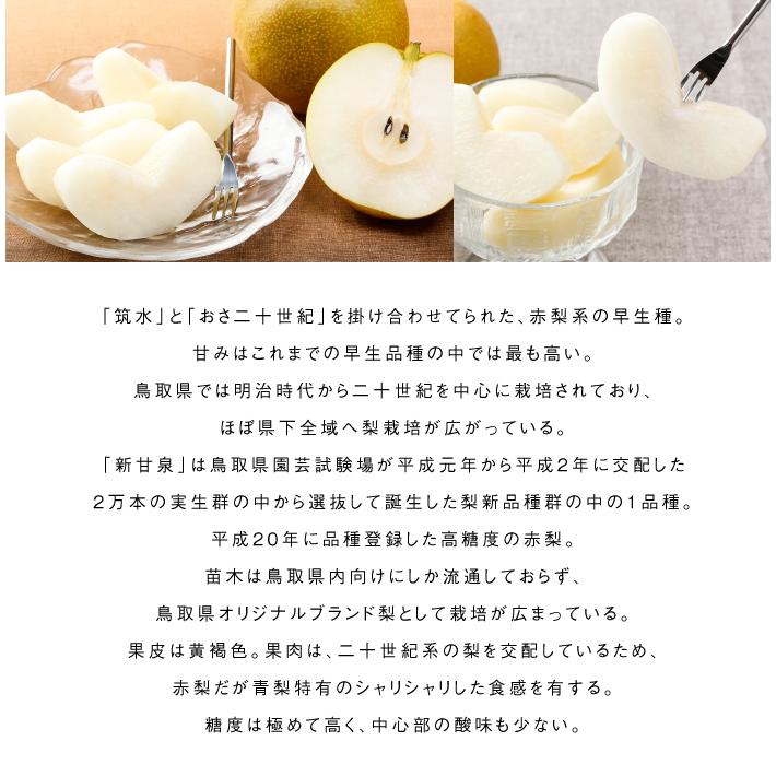 梨 新甘泉 しんかんせん ちょっと訳あり 大きさおまかせ 5kg