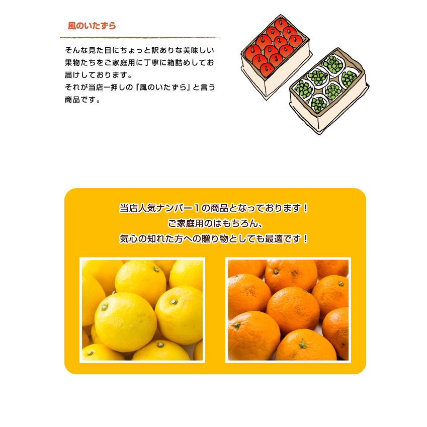 新鮮だけど、訳あり。。。 ケイ・エス わけあり割れありカシューナッツ100g（ケイ・エス