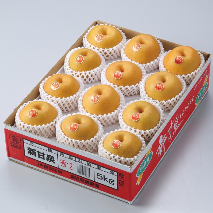 梨 新甘泉 しんかんせん 青秀 7〜20玉 5kg 鳥取県産 なし ナシ