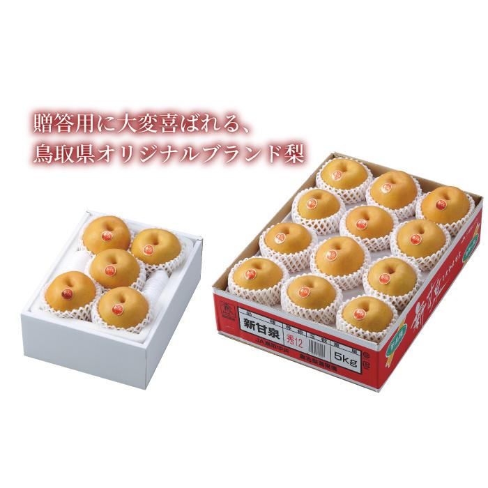梨 新甘泉 しんかんせん 青秀 7〜20玉 5kg 鳥取県産 なし ナシ