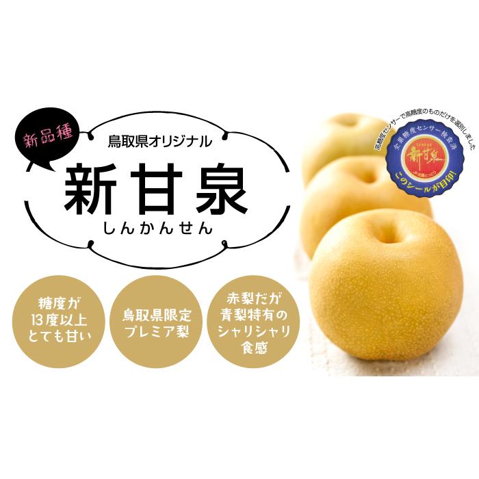 梨 新甘泉 しんかんせん 青秀 7〜20玉 5kg 鳥取県産 なし ナシ