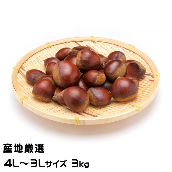 栗 産地厳選 生栗 4L〜3Lサイズ 3kg くり クリ : はちやフルーツ