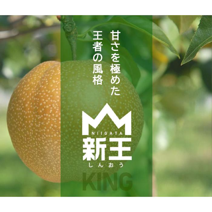 粛粲寶　額装【果物・フルーツ】(新潟県) 粛粲寶 額装【果物・フルーツ】(新潟県) - メルカリ