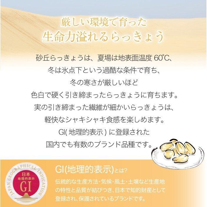 根付き 砂丘らっきょう ちょっと訳あり 大きさおまかせ 1kg  鳥取県産 ＪＡ鳥取いなば 福部産 らっきょ  作り方 レシピ付き｜hachiya-fruits｜09