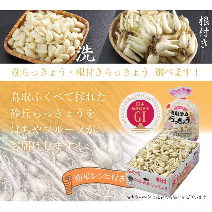 根付き 砂丘らっきょう 秀品 Sサイズ 1kg  鳥取県産 ＪＡ鳥取いなば 福部産 らっきょ  作り方 レシピ付き｜hachiya-fruits｜08