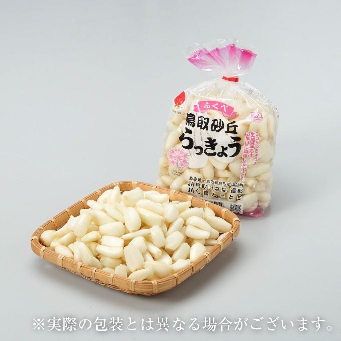 洗い 砂丘らっきょう 秀品 Mサイズ 2kg 鳥取県産 JA鳥取いなば 福部 