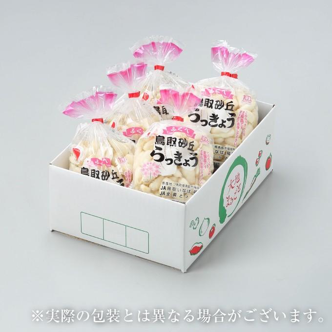 洗い 砂丘らっきょう 秀品 Lサイズ 5kg 鳥取県産 JA鳥取いなば
