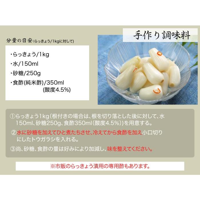 鳥取　福部　らっきょう　鳥取県産　ふくべ　砂丘　5kg Amazon.co.jp: 鳥取県福部町産 ふくべ鳥取砂丘らっきょう(洗い
