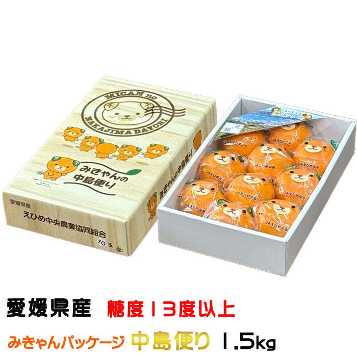 みかん せとか みきゃんの中島便り 匠と極 8〜12玉 1.5kg 愛媛県産