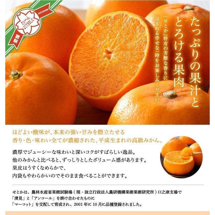 53⭐︎せとか S玉12キロ　九州〜中部 せとか（12玉サイズ） 【業務用食材の仕入れなら八面六臂】