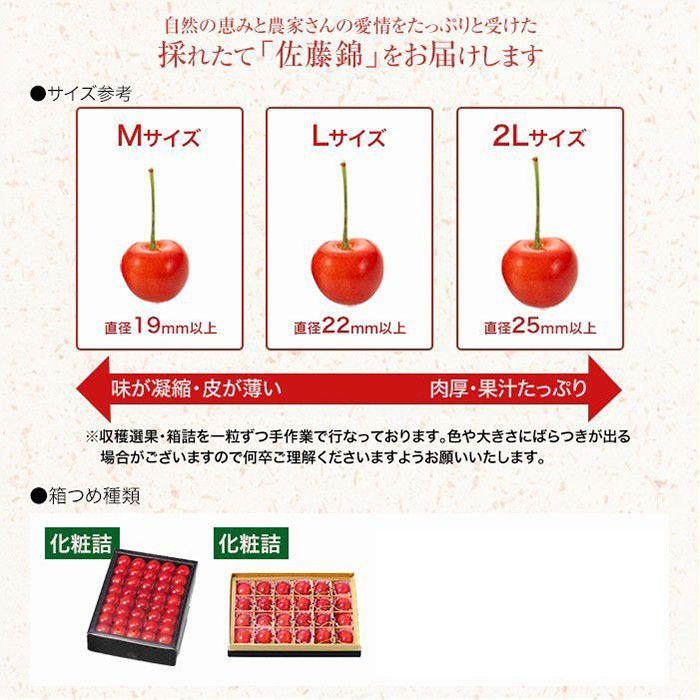 さくらんぼ 佐藤錦 秀品 Lサイズ 24粒 チョコ箱 化粧箱 さとうにしき