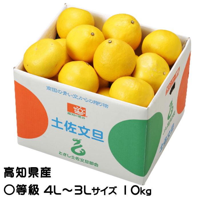 ぶんたん 土佐文旦 〇等級 4L〜3L 10kg とさ高知県産 JA高知県 ぶんたん 土佐文旦 〇等級 4L〜3L 10kg とさ高知県産 JA高知県