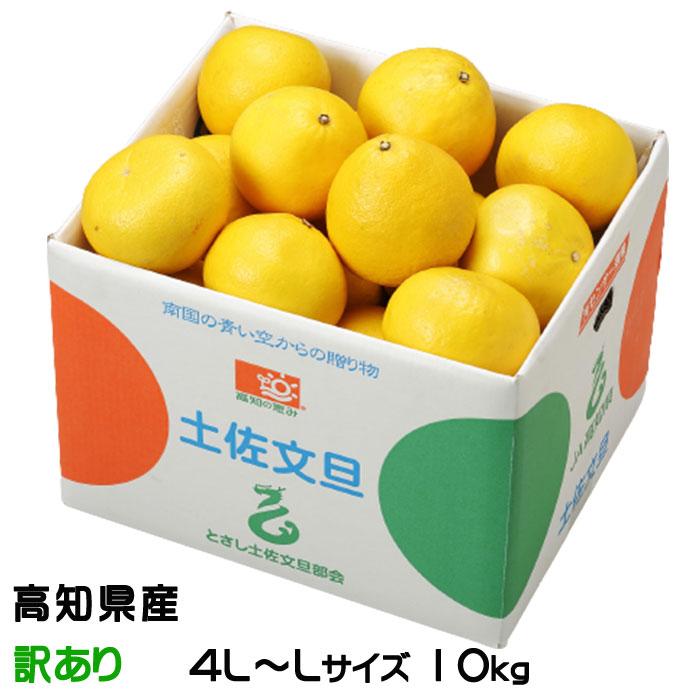 ぶんたん 土佐文旦 風のいたずら 訳あり 4L〜L 10kg 高知県産 JA ぶんたん 土佐文旦 風のいたずら 訳あり 4L〜L 10kg 高知県産 JA
