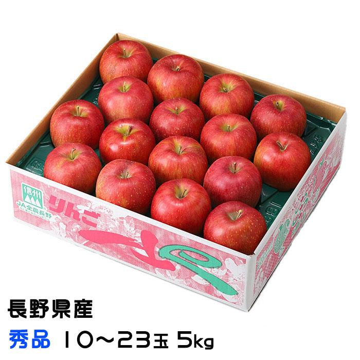 りんご 信州高山さわやかりんご 秀品 10〜23玉 5kg 長野県産 林檎