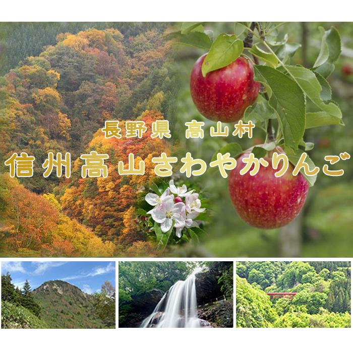 りんご 信州高山さわやかりんご 風のいたずら ちょっと訳あり 10〜20玉