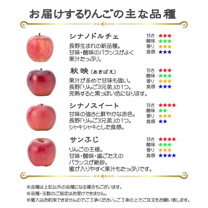 りんご 信州高山さわやかりんご 風のいたずら ちょっと訳あり 10〜20玉