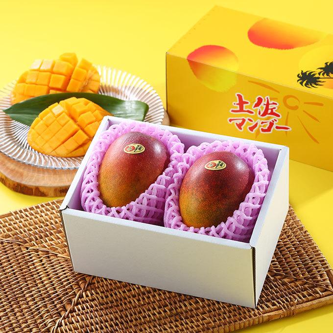 福袋特集 マンゴー 土佐マンゴー 赤秀 2L 330g×2玉 高知県産 完熟マンゴー ギフト お取り寄せグルメ rmladv.com.br 福袋特集 マンゴー 土佐マンゴー 赤秀 2L 330g×2玉 高知県産 完熟マンゴー ギフト お取り寄せグルメ rmladv.com.br