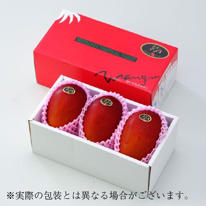 マンゴー 太陽のタマゴ 赤秀 4L 500g以上×3玉 JA宮崎経済連 宮崎県産