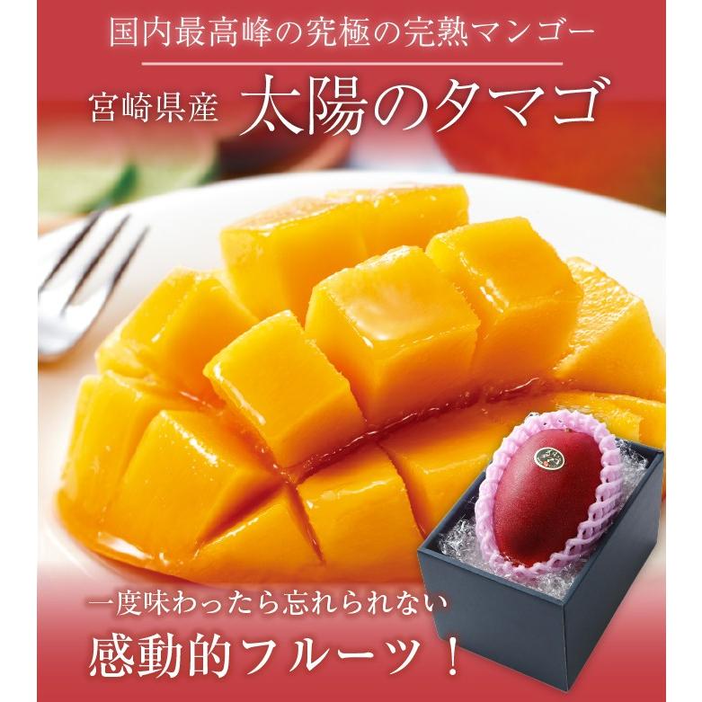 〇マンゴー 太陽のタマゴ 赤秀 2L 350g以上 1玉 JA宮崎経済連 宮崎県産 完熟マンゴー 太陽のたまご ギフト お取り寄せグルメ 母の日