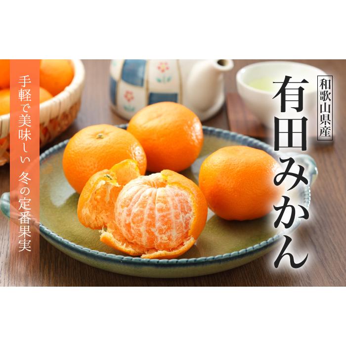 みかん 有田みかん 風のいたずら 訳あり 大きさおまかせ 10kg 和歌山県