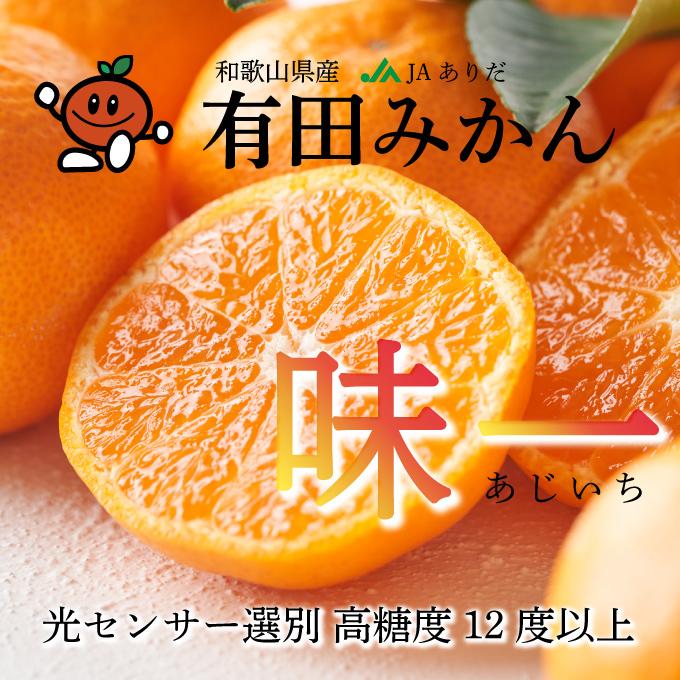 みかん プレミアム有田みかん 味一 L〜Sサイズ 2.5kg 糖度12度