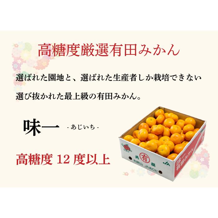 みかん プレミアム有田みかん 味一 L〜Sサイズ 2.5kg 糖度12度