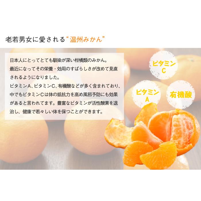 みかん 温州みかん 産地厳選 風のいたずら ちょっと訳あり 大き みかん 温州みかん 産地厳選 風のいたずら ちょっと訳あり 大き