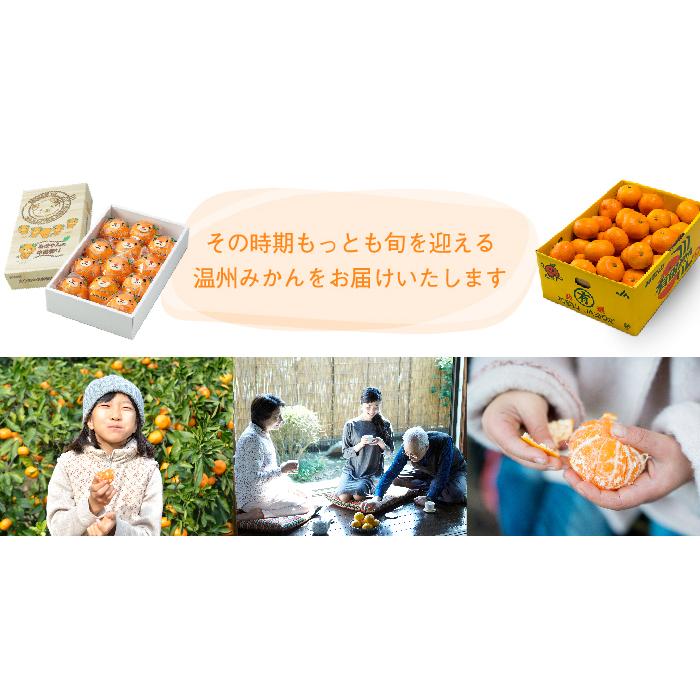 みかん 温州みかん 産地厳選 風のいたずら ちょっと訳あり 大き みかん 温州みかん 産地厳選 風のいたずら ちょっと訳あり 大き