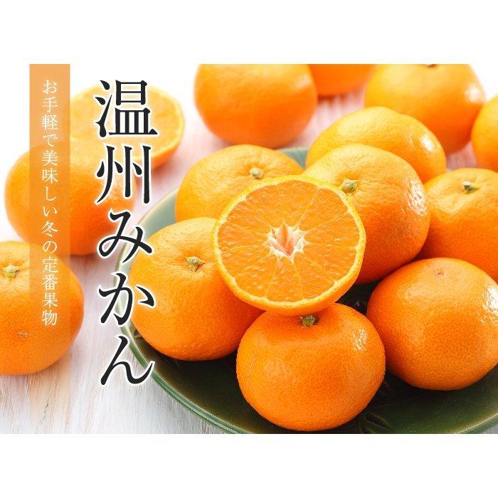 みかんさま専用出品 土佐文旦（A級品）3Lサイズ - みかん家にしごみ