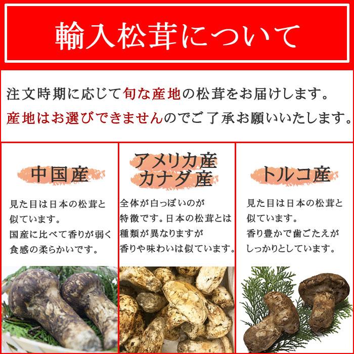 松茸 ちょっと訳あり 大きさおまかせ 約1kg 産地厳選 アメリカ トルコ