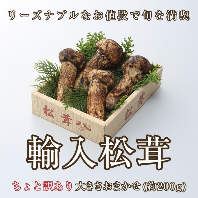 松茸 ちょっと訳あり 大きさおまかせ 約200g 産地厳選 アメリカ トルコ カナダ 中国 まつたけ マツタケ お年賀 ギフト お取り寄せ :ymtt004:はちやフルーツ - 通販 - Yahoo!ショッピング 松茸 ちょっと訳あり 大きさおまかせ 約200g 産地厳選 アメリカ トルコ カナダ 中国 まつたけ マツタケ お年賀 ギフト お取り寄せ :ymtt004:はちやフルーツ - 通販 - Yahoo!ショッピング