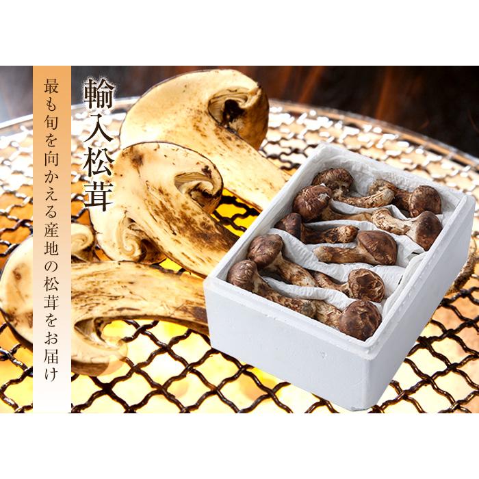 松茸 ちょっと訳あり 大きさおまかせ 約200g 産地厳選 アメリカ
