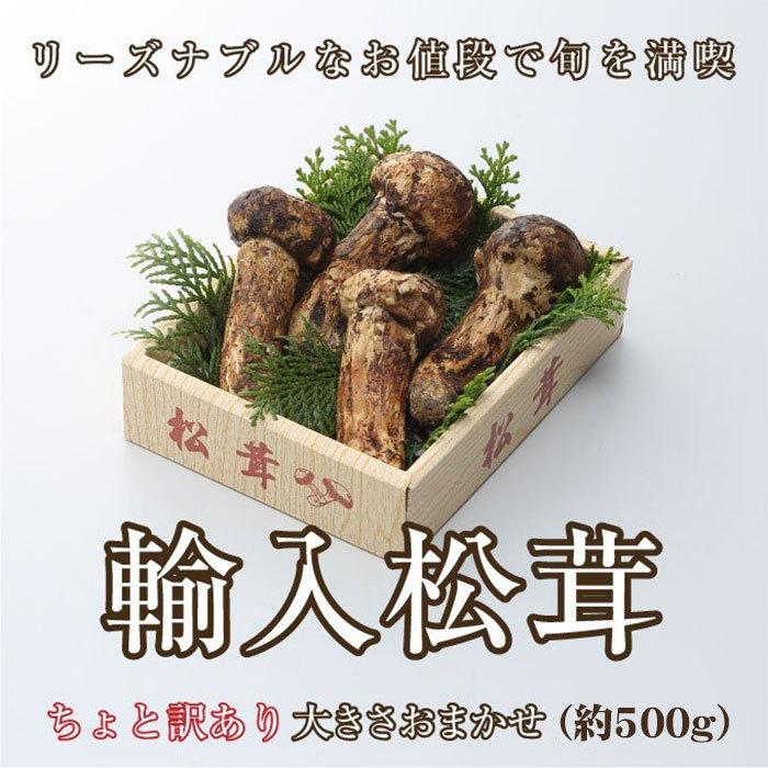 北海道　松茸　500g 訳あり 松茸 ちょっと訳あり 大きさおまかせ 約500g 産地厳選 アメリカ