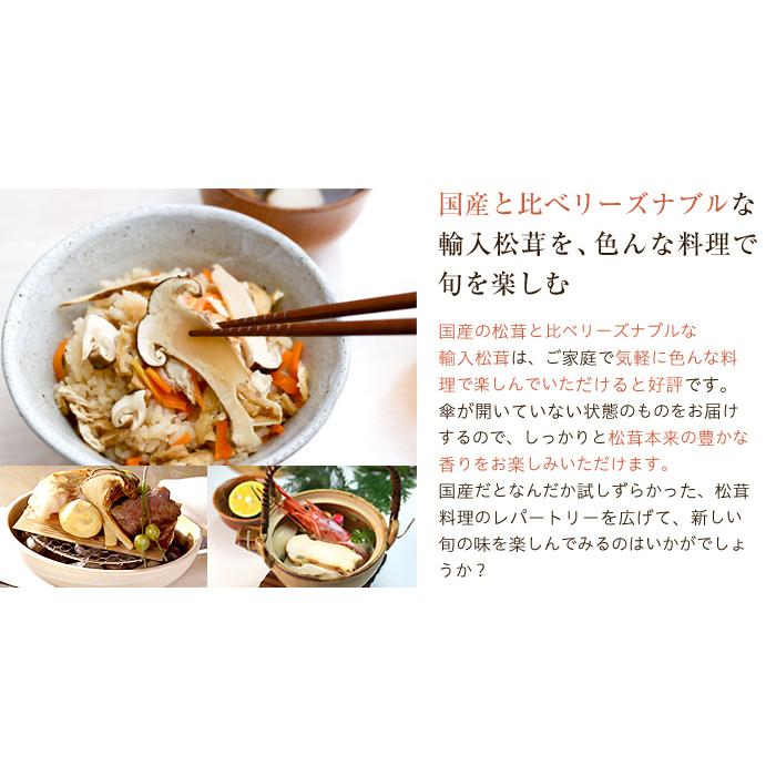 松茸 ちょっと訳あり 大きさおまかせ 約500g 産地厳選 アメリカ トルコ