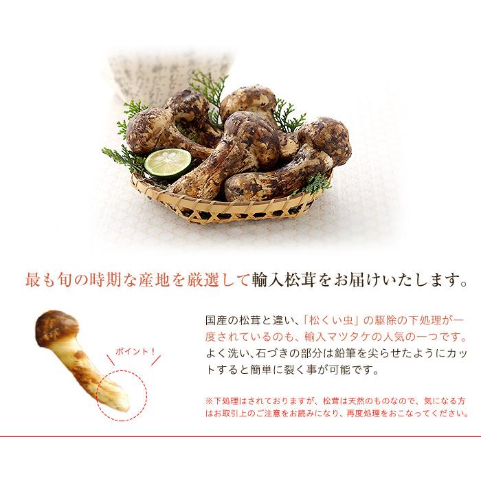 訳あり品】松茸 マツタケ まつたけ 国産 徳島産 385g 19本 蕾 開き