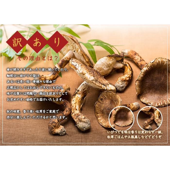 松茸 ちょっと訳あり 大きさおまかせ 約500g 産地厳選 アメリカ トルコ