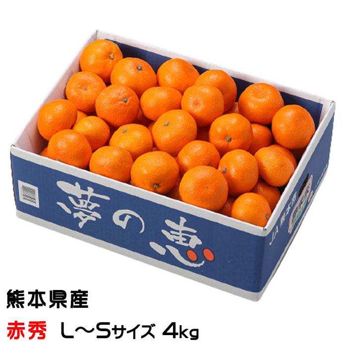 即購入可☆ゆめ⭐︎6個セット みかん 夢の恵 赤秀 L〜Sサイズ 4kg プレミアムみかん 糖度12度以上 JA