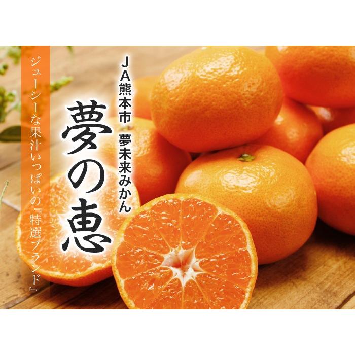 みかん 夢の恵 プレミアムみかん糖度12度以上 青秀 ｌ ｓサイズ 2 5kg Ja熊本市 夢未来 蜜柑 ミカン Ynm003 はちやフルーツ 通販 Yahoo ショッピング