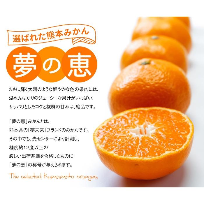 みかん 夢の恵 青秀 2L〜Sサイズ 2.5kg プレミアムみかん 糖度12度以上