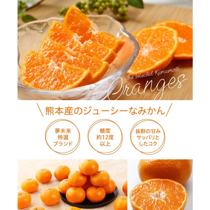 みかん 夢の恵 青秀 2L〜Sサイズ 2.5kg プレミアムみかん 糖度12度以上