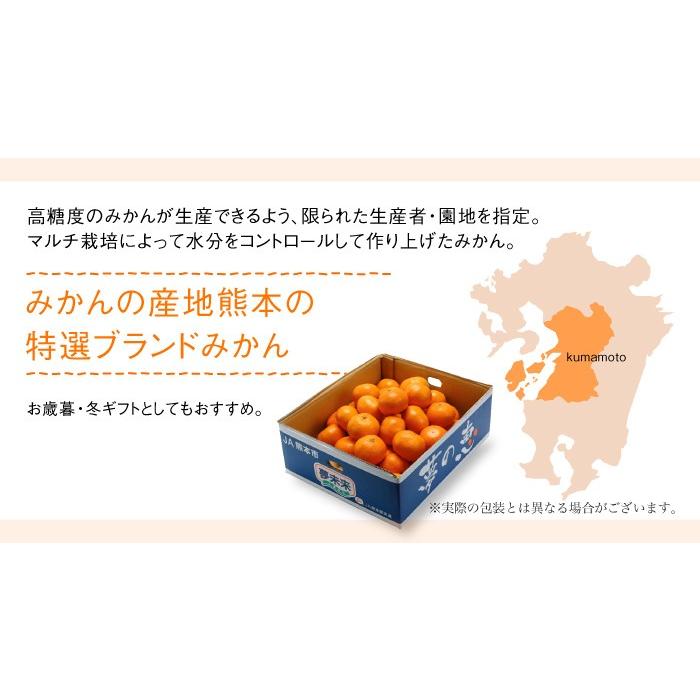 みかん 夢の恵 青秀 2L〜Sサイズ 2.5kg プレミアムみかん 糖度12度以上