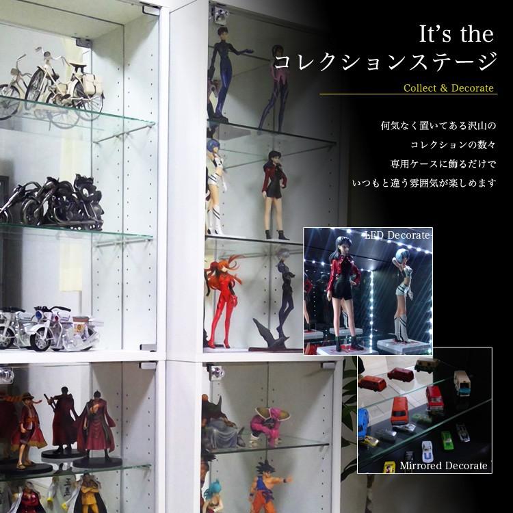 地球家具 コレクションラック DIO ディオ ハイタイプ 本体 鍵付 奥行