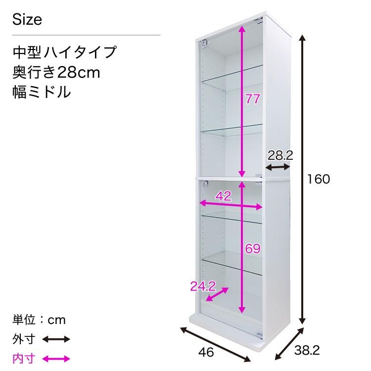 地球家具 爆買 コレクションラック DIO ディオ ハイタイプ 本体 鍵付