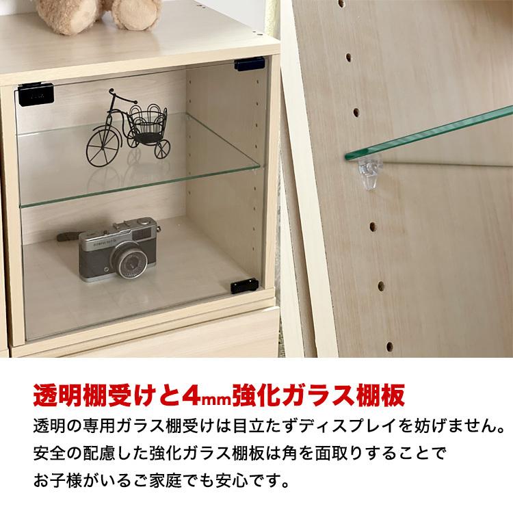 地球家具 コレクション キューブボックス ガラス扉タイプ 2個セット