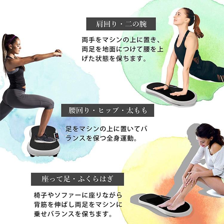 3D 振動マシン ぶるぶる フィットネスマシーン Daiwa Felicity
