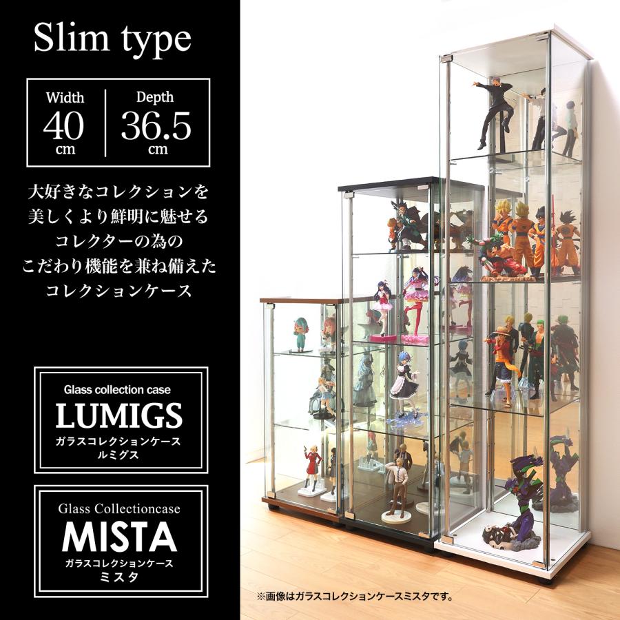 地球家具 [オプション] ガラスコレクションケース MISTA ミスタ LUMIGS