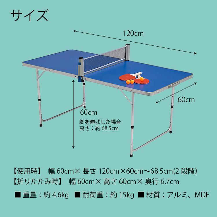 地球家具 卓球台 セット ラケット2つ ボール3つ ネット付 折りたたみ 