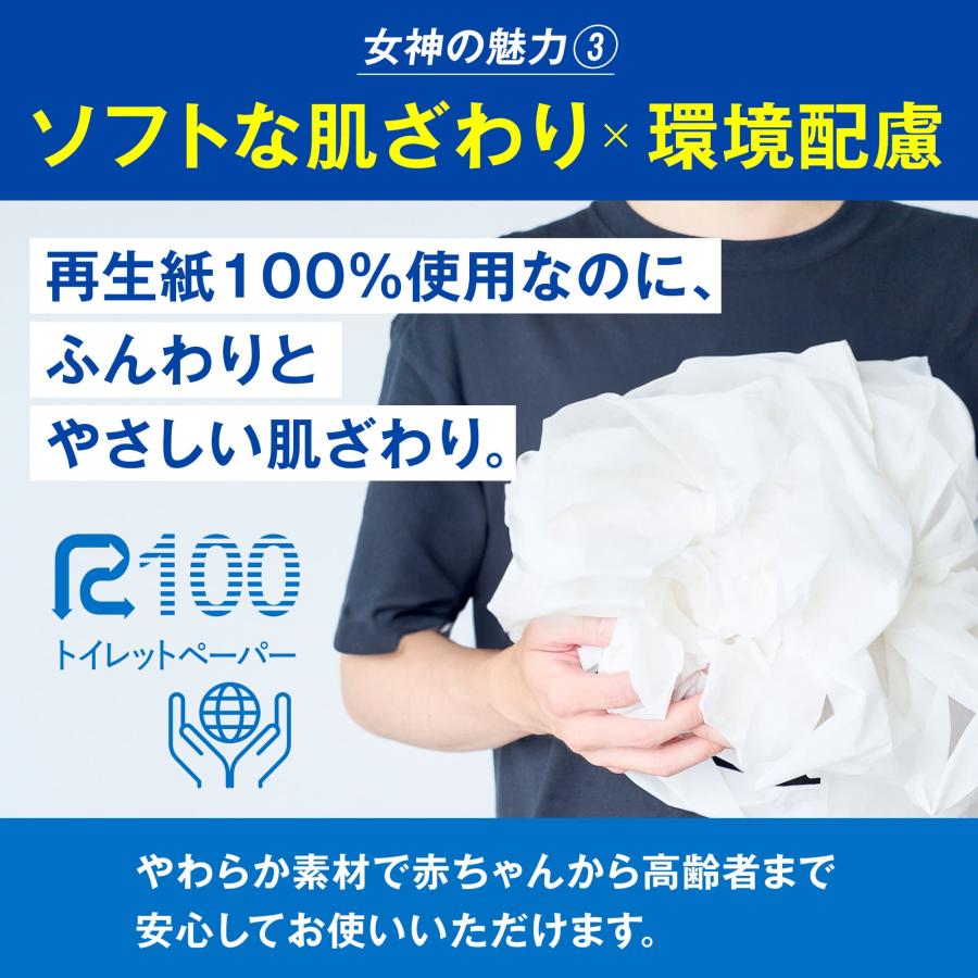 非常用トイレットペーパー トイレの女神 PREMIUM 15年保存可能 日本製