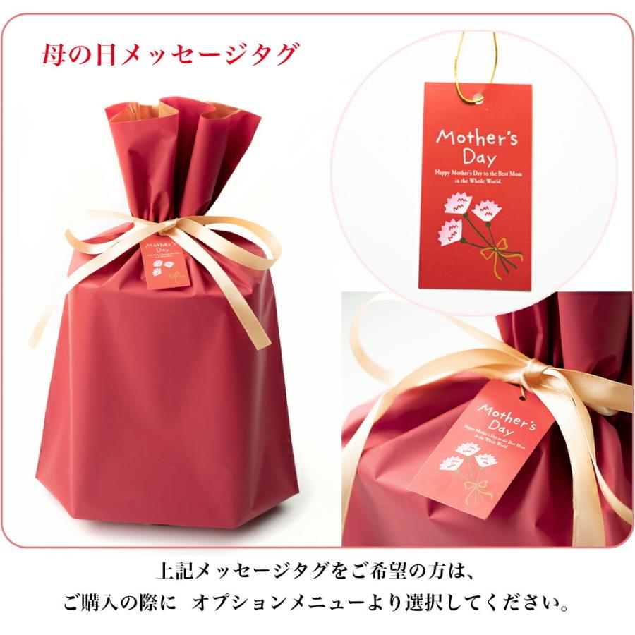 プレゼント ギフト 花以外 今治 タオル モコモコ フラワーギフト 絢爛